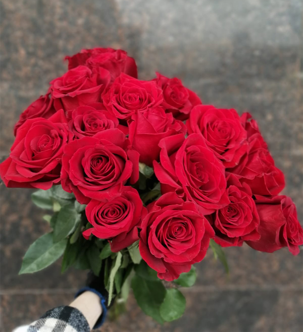 Красные эквадорские розы Фридом