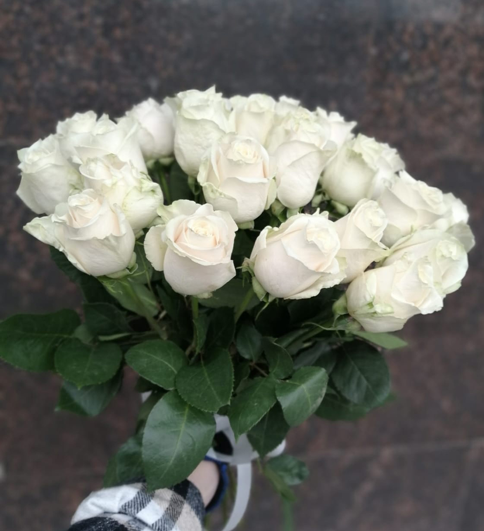 Белые эквадорские розы Мондиаль