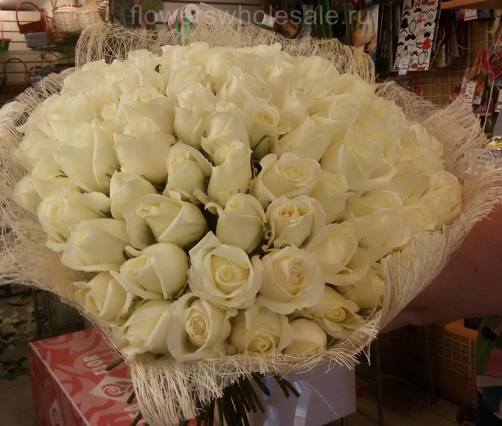 белые розы сорта Мондиаль (Mondial)