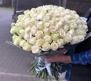 51 белая роза по оптовым ценам в петербурге