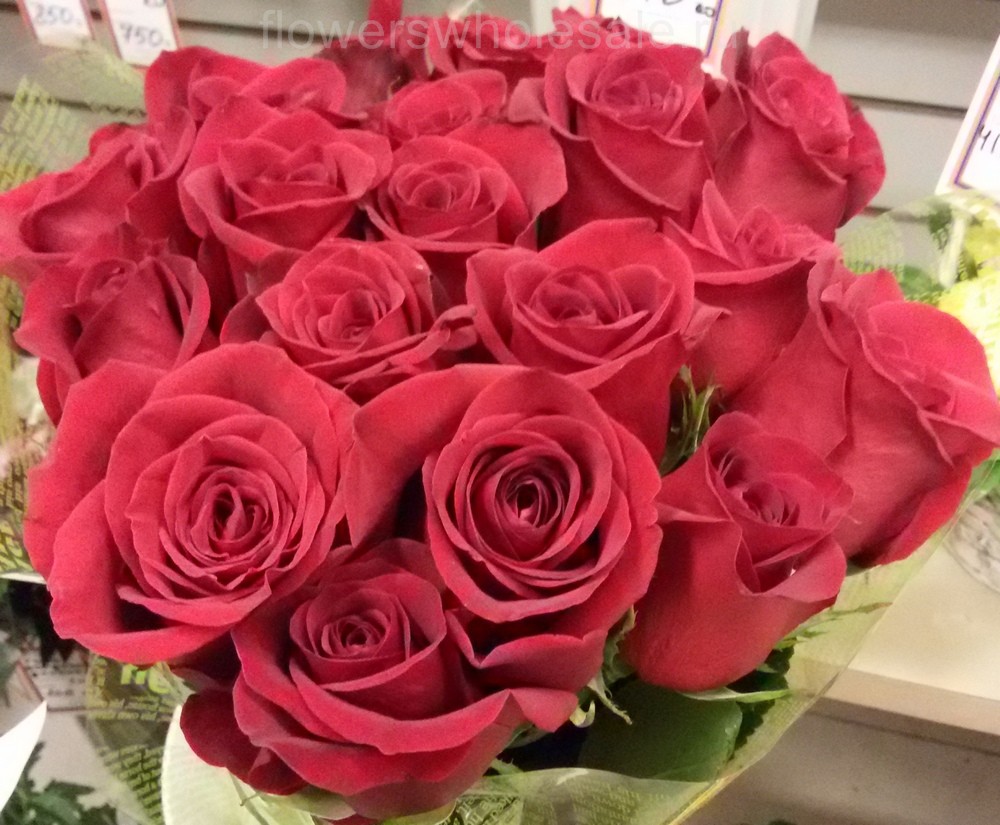25 красных роз, сорт Фридом