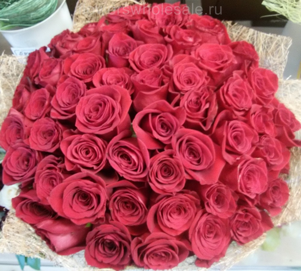 51 красная роза из Эквадора