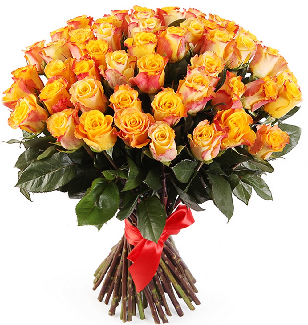 51 оранжевая роза из Эквадора
