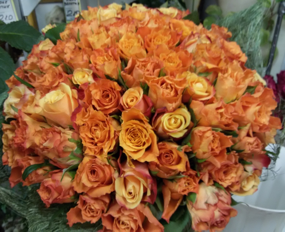 51 оранжевая роза высотой 40см