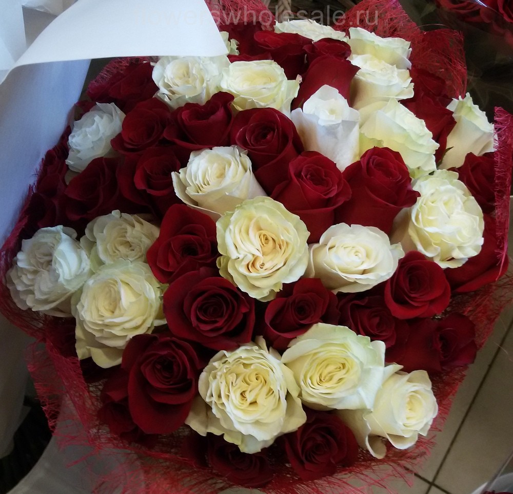 Букет из красных и белых роз. Красные розы - сорт Фридом, белые розы - сорт Мондиаль.