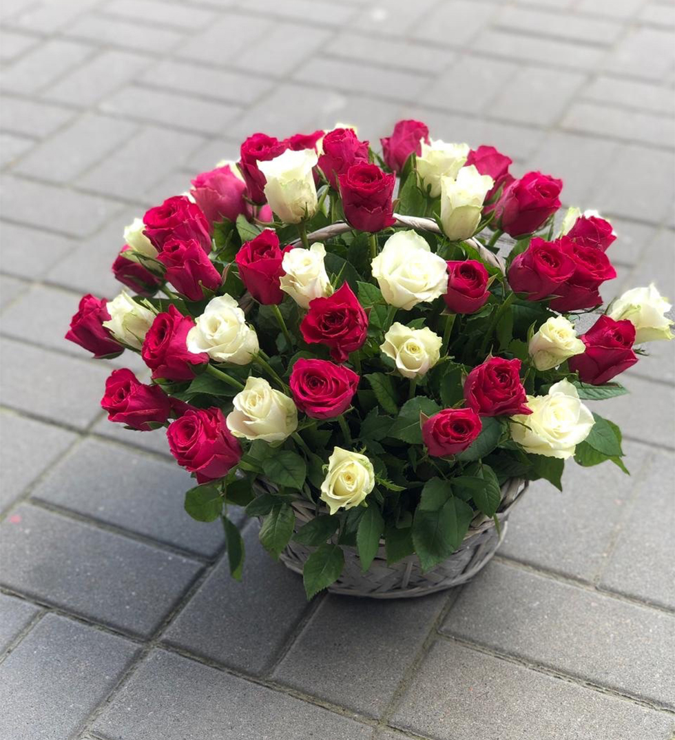 корзина с розами, 50 красных роз и 1 белая роза, высота роз 60см