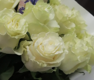 розы мондиаль мелким оптом в петербурге