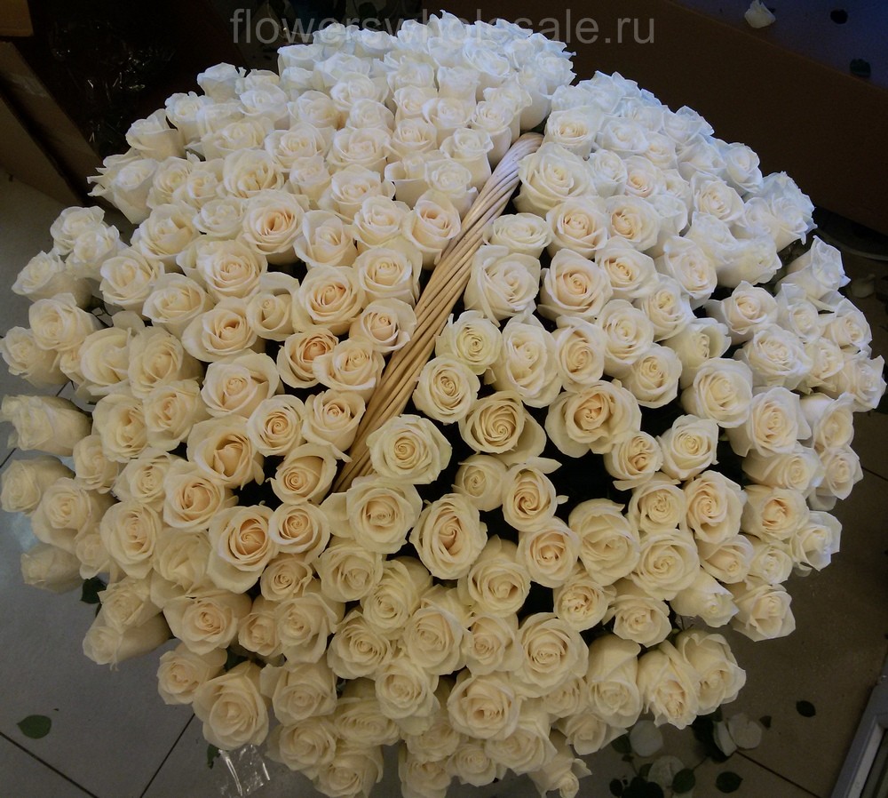 белые розы сорта Венделла, в корзине