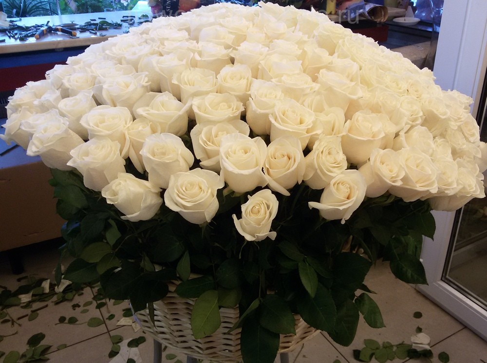 Белые эквадорские розы, сорт Венделла, в корзине.